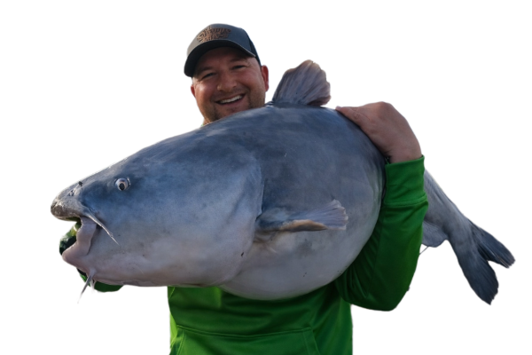 How To Catch A 80LB Catfish